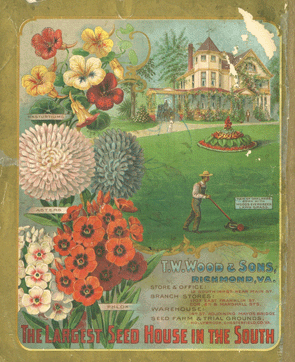 This Wood and Sons Catalog shows the lawn and carpet beds were also popular in Richmond, VA.