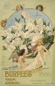 Burpee catalog cover of 1896
